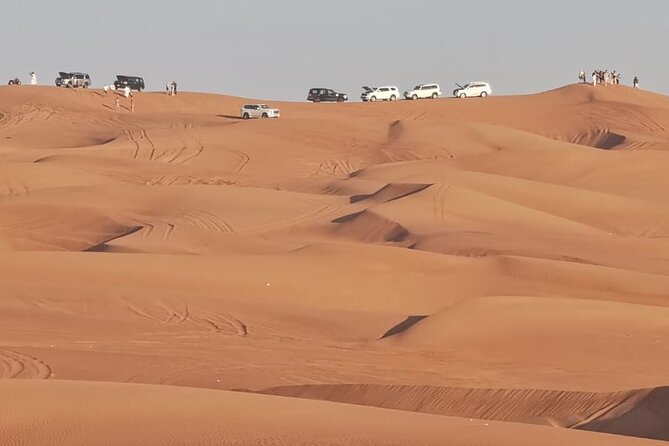 4 Hours Morning Desert Safari in Dubai - Itinerary Highlights