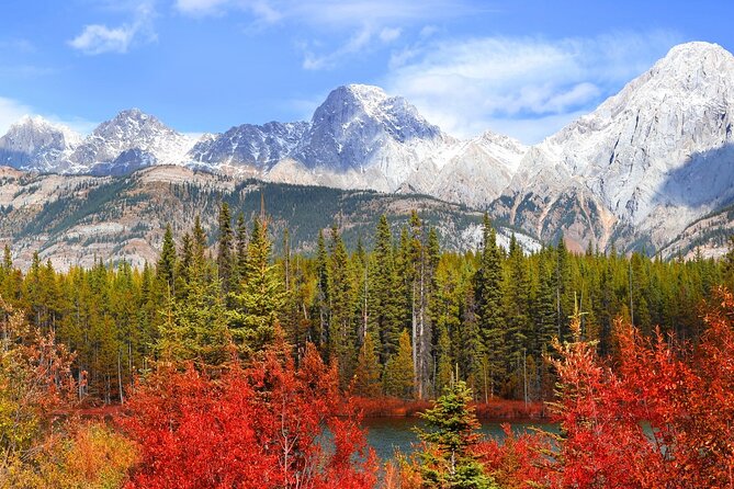 4 Hours Private Tour in Kootenay Plains Trails - Inclusions