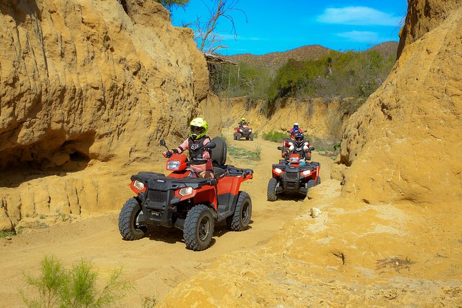 4x4 ATV Adventure With Tequila Tasting and Mexican Buffet Lunch - Inclusions and Costs