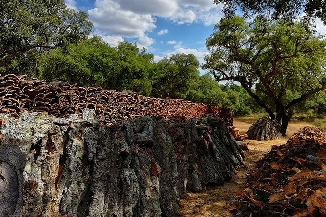 4x4 Cork Tour With Lunch & Wine Tasting - Interaction With Local Culture