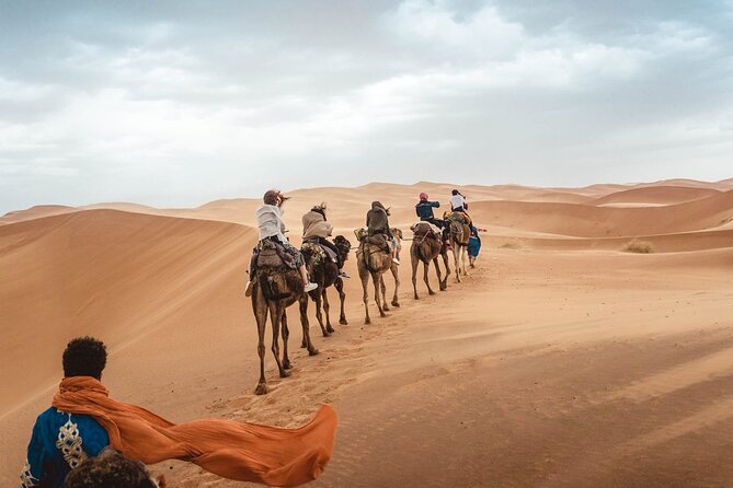 4x4 Desert Safari Abu Dhabi With BBQ Dinner - Itinerary Highlights