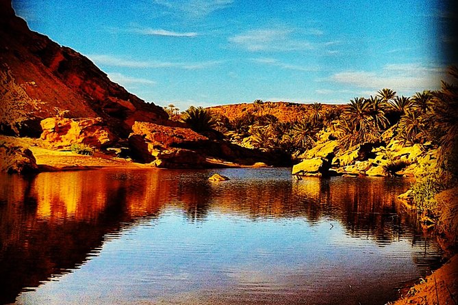 4x4 Excursion to Safsaf Wild Oasis With Traditional Berber Picnic - Traditional Berber Picnic Details