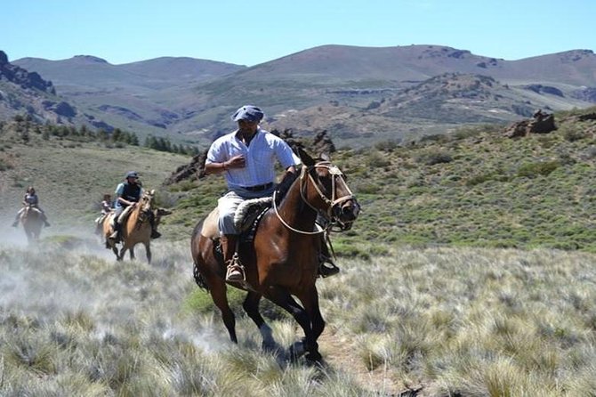 5-Day Adventure Trip in Bariloche - Culinary Delights of the Region