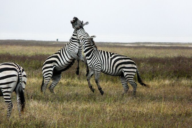 5-Day Group Tour Mid Range - Included Amenities
