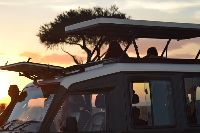 5-Day Maasai Mara and Ol Pejeta Conservancy Guided Safari - Pickup and Cancellation