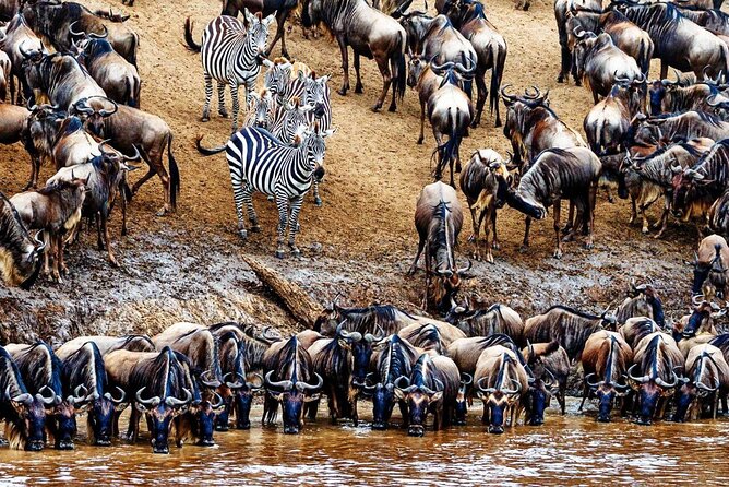 5 Day Private Guided Wildebeest Migration Tour - Highlights of the Itinerary