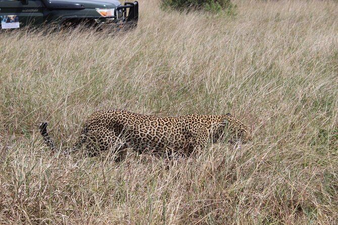 5-Day Private Tour in Kenyas Best Game Parks - Accommodations and Meals