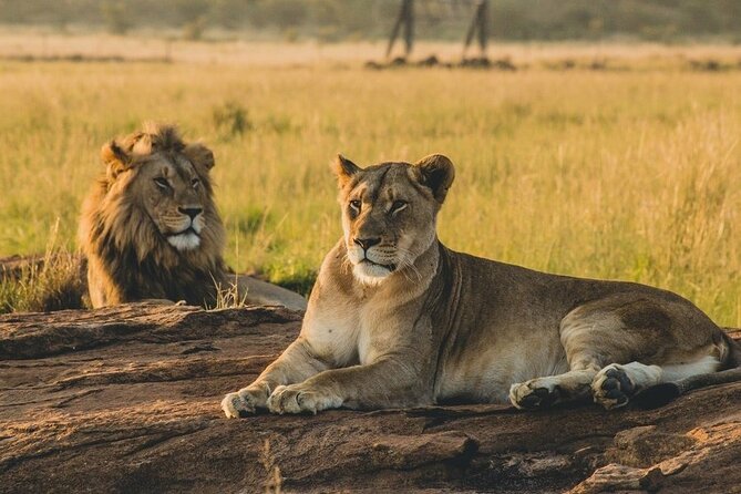5-Day Private Tour in Mikumi National Park and Udzungwa Mountain - Inclusions
