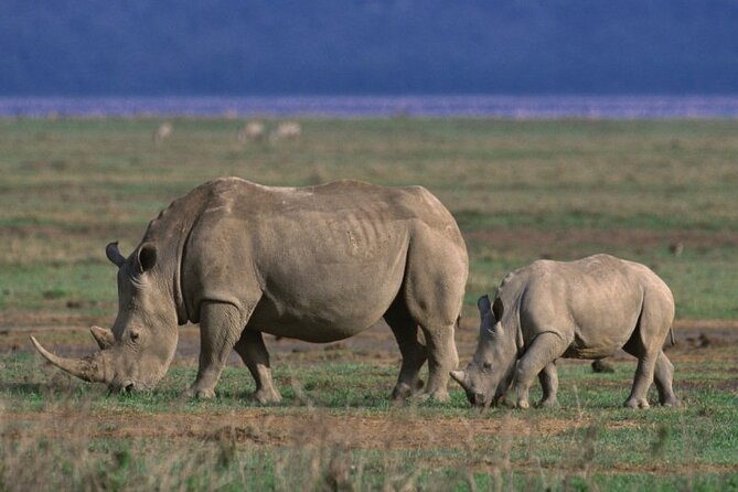 5 Day Safari in Tarangire, Serengeti and Ngorongoro Wonders - Itinerary Highlights