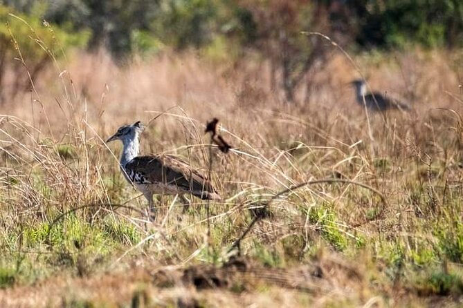 5 Day Ultimate Kruger National Park Budget Accommodation - Meeting and Pickup Details