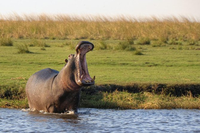 5 Day Victoria Falls and Chobe National Park Luxury Accommodated Tour - Highlights of Victoria Falls