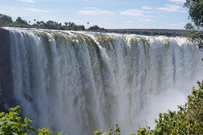 5 Day Victoria Falls and Hwange National Park Accommodated Tour Safari - Meeting and Pickup