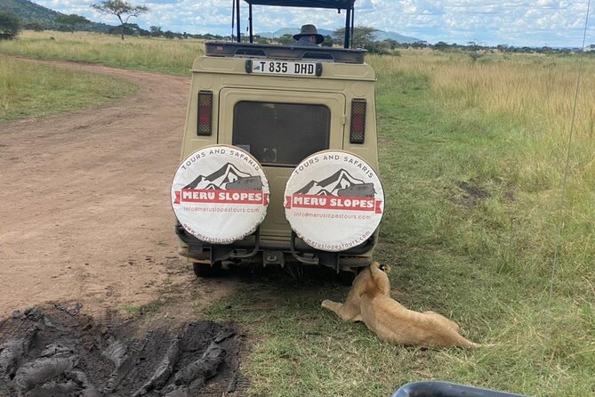 5 Days Camping Tarangire, Serengeti & Ngorongoro Crater & Visiting Maasai - Spectacular Serengeti National Park