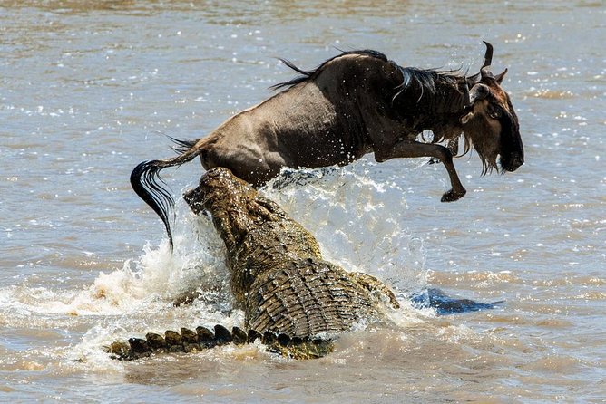 5 Days Hells Gate, L. Naivasha, L. Nakuru & Masai Mara Luxury Safari - Pickup and Start Time