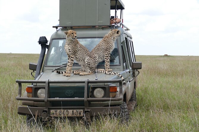 5 Days in to the Heart of Serengeti - Accommodation Options