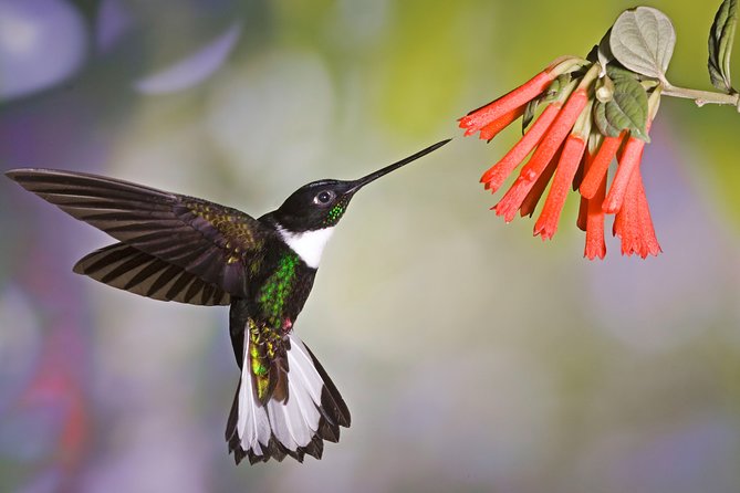5 Days - Natural Ecuador - Participant Requirements