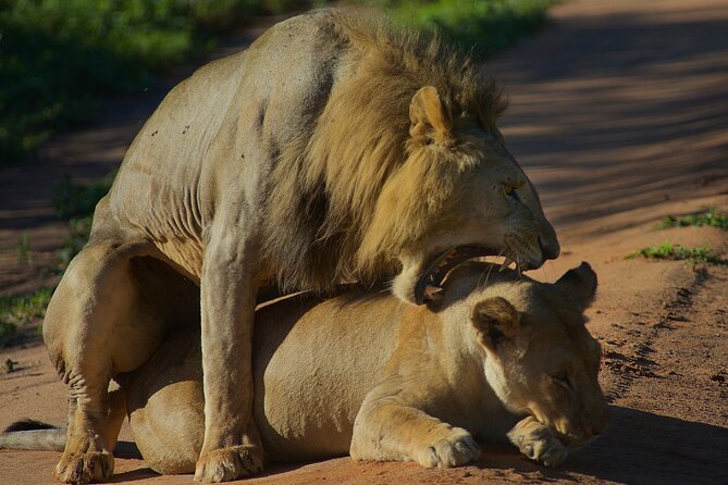 5 Days Northern Tanzania Safari- Lodging - Ngorongoro Crater Accommodation