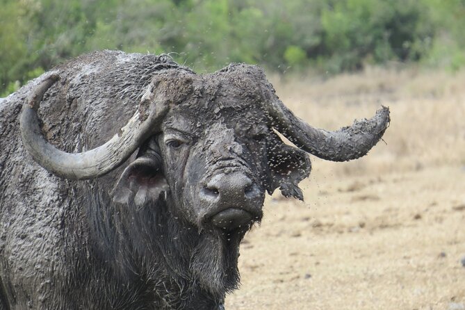 5 Days Safari Northern Circuit Of Tanzania - Daily Itinerary