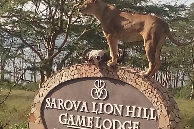 5 Days Safari to Aberdare N/P, Nakuru N/P and Maasai Mara N/R. - Booking and Cancellation