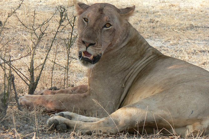 5 Days Safari to Selous & Mikumi - Discovering Mikumi National Park