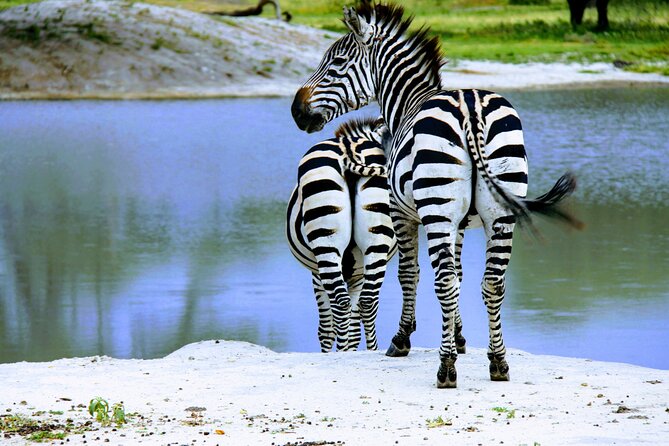 5 Days Tanzania Family Safari - Included Amenities
