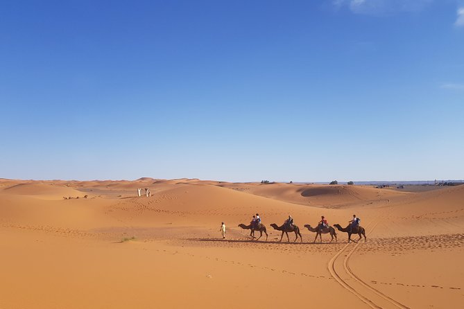 5 Days Tour From Fes - Meeting and Pickup Logistics