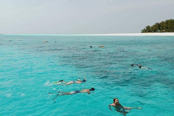 5-Hour Snorkeling, Swimming With Dolphins and Sea Turtles Aquarium - Included Activities and Amenities