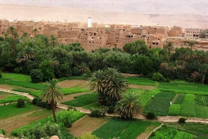 5 Luxury Days Tour Fez to Marrakech via Desert - Itinerary Overview