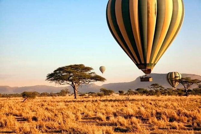 5days Tarangire,Serengeti,Ngorongoro Crater and Lake Manyara National Park - Serengeti National Park