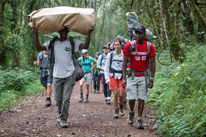 6-Day Guided Tour in Machame Route Mt Kilimanjaro - Meeting and Pickup Details
