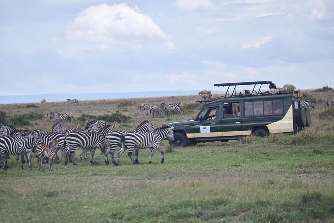 6 Day Nairobi-Amboseli-Maasai Mara Private Semi Luxury Tour