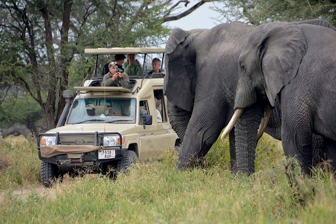 6-Day Tanzania Camping Safari: Lake Manyara, Serengeti, Ngorongoro Cater and Tarangire National Park From Arusha - Inclusions and Pricing