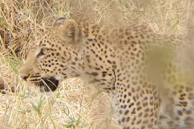 6 Days 5 Night Safari - Itinerary Highlights