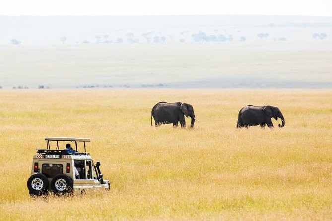 6 Days Budget Tanzania Camping Safari - Accommodation and Meals