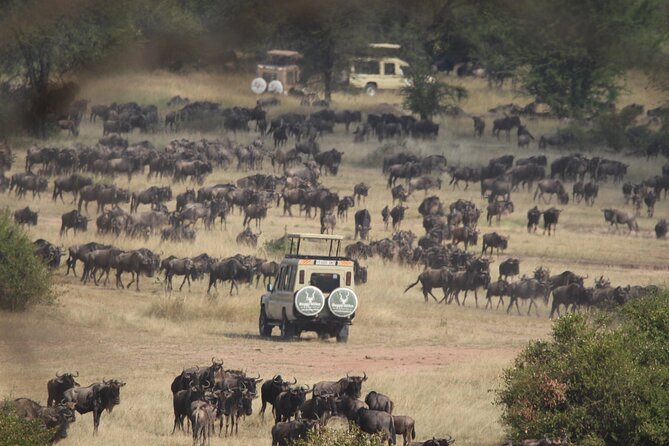 6 Days Enchanting Tanzania Safaris - Mid Range Safari - Witness the Big Five
