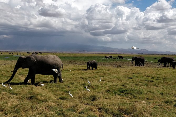 6 Days Kenya Safari - Itinerary Highlights