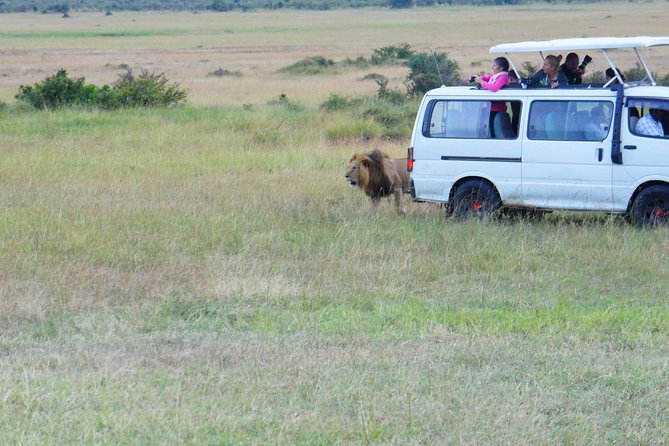 6 Days Private Safari Package Kenya - Highlights of the Itinerary