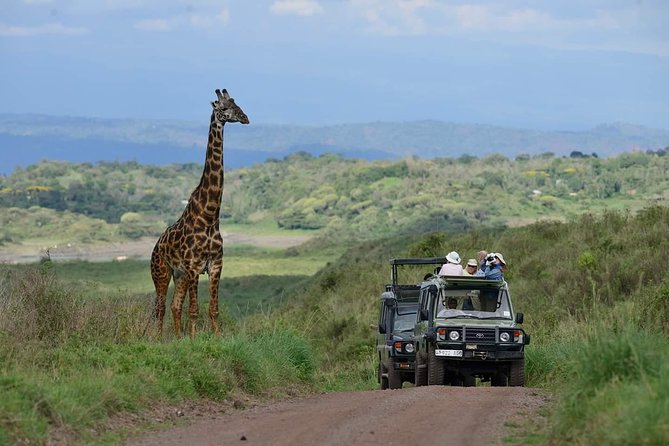 6 Days Tanzania Luxury Safari Tour - Accommodations Overview