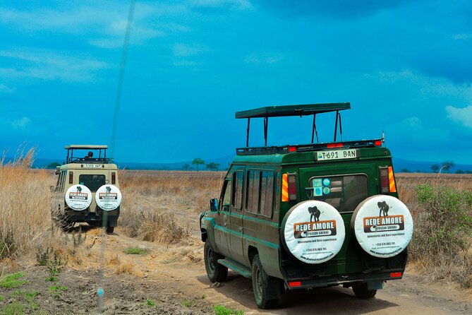 6 Days Tanzania Safari by Rede Tours: Everything to Know 2025 - Daily Activities Explained