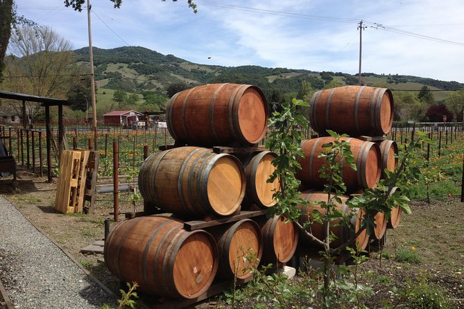 6-Hour Private Wine Country Tour of Napa in Crossover SUV (Up to 6 People) - Customize Your Experience