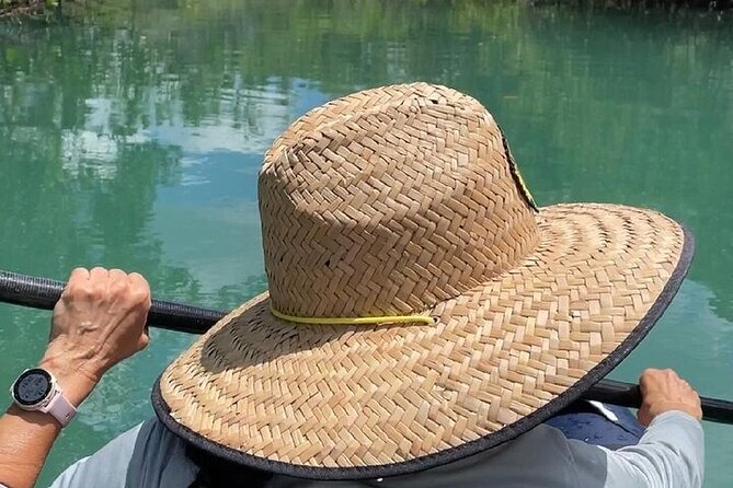 6-Hr Tropical Mangroves, Coastal River and Ocean Wildlife Watch - Meeting and End Points