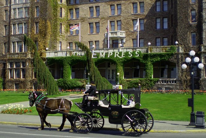 60-Minute Beacon Hill Park Tour - Meeting Point and Departure