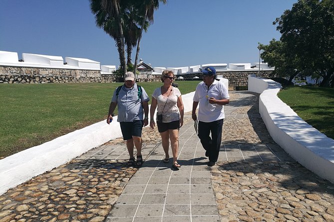 6Hr Walking & Van Tour San Diego Fort Museum Cliff Divers Zocalo - Inclusions
