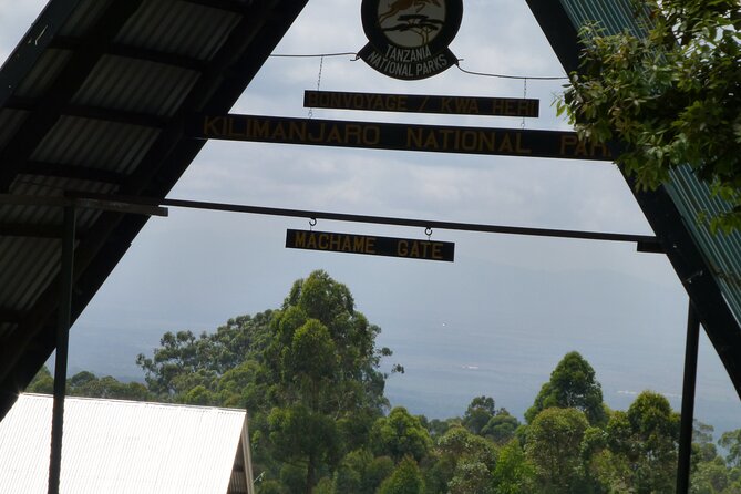 7 Day Kilimanjaro Machame Climb - Transportation and Logistics