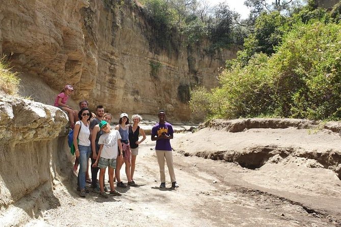 7-Day Maasai Mara, Lake Nakuru, Lake Naivasha and Amboseli Safari From Nairobi - Itinerary Highlights