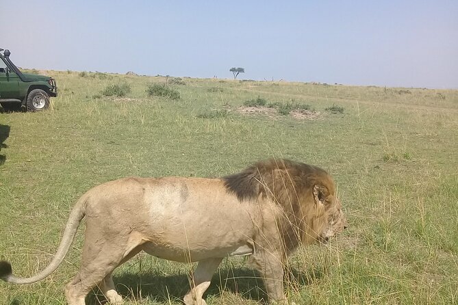 7-Day Private Jeep Safari to 5 Star Lodges With Balloon Ride in Kenya - Accommodation and Dining