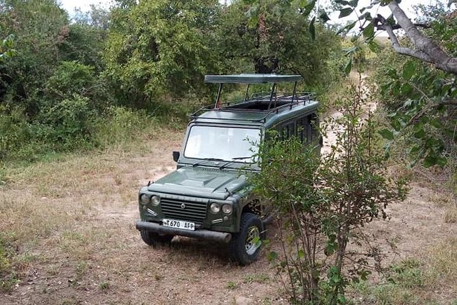 7 Day Safari to Selous, Mikumi and Ruaha National Parks + Transfers - Itinerary Highlights