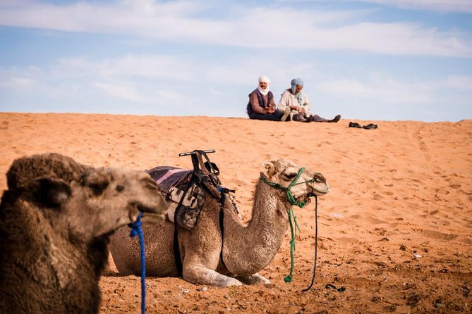 7-Day Tour From Marrakech - Location & Pickup