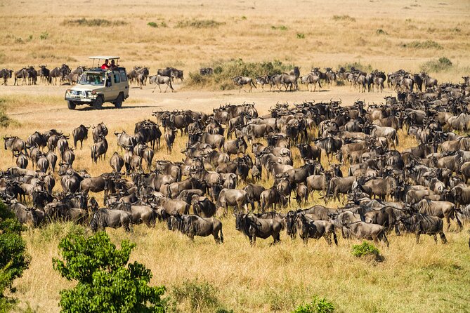 7 Days Cultural and Wildlife Safari - Detailed Itinerary