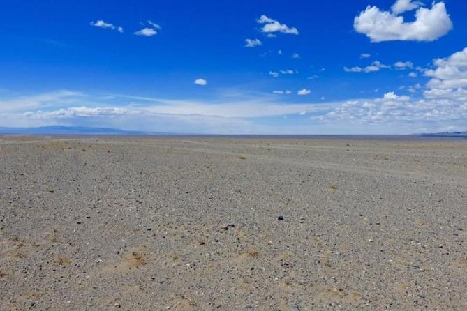 7 Days Great Gobi Tour - Meals Included